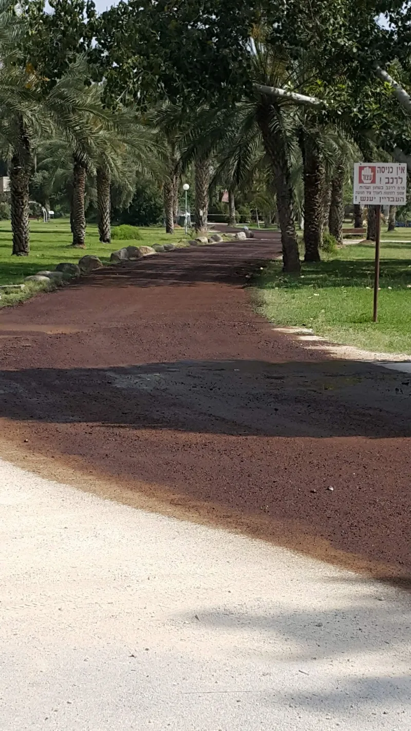 דרך שירות וביטחון בין הדקלים